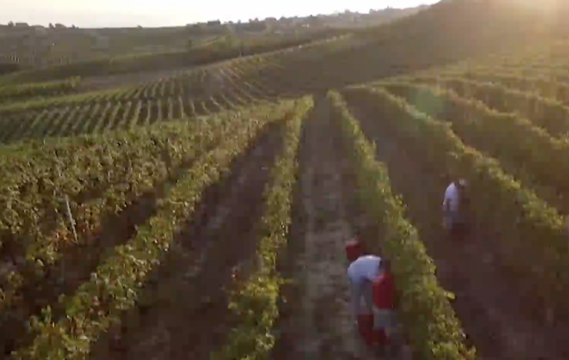 Viaggio alla scoperta del Piemonte: regione di vini e eccellenze del territorio